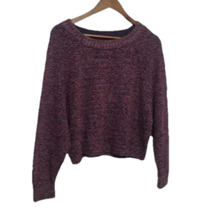 NWT Express Cropped Knitted Sz Large Sweater